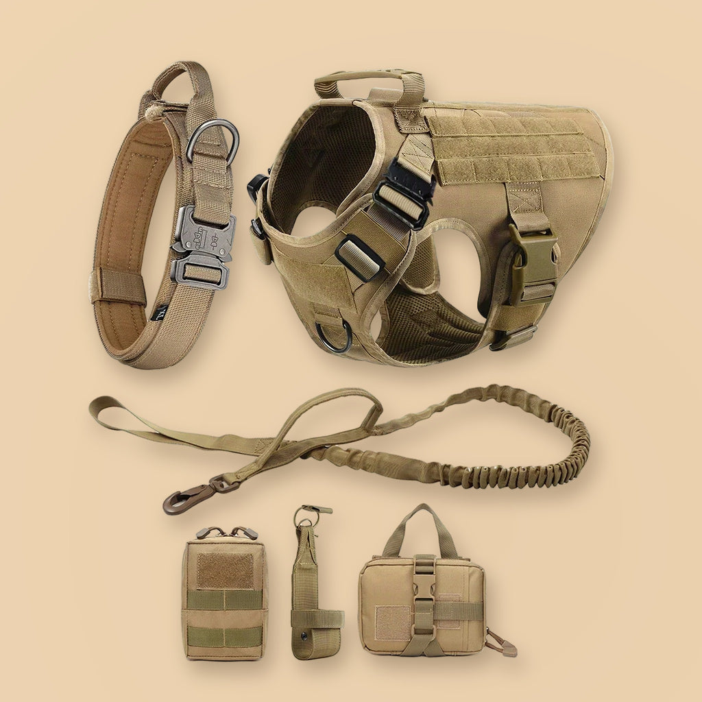 What's in the Tactical Dog Harness Kit: harness, collar, bungee leash and 3 Molle pouches (Coyote)