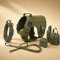 Tactical dog harness kit in Green