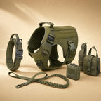 Tactical dog harness kit in Green