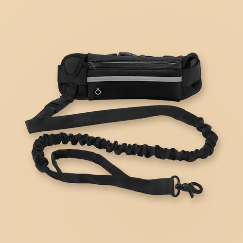 Black hands-free waist leash with waist bag, reflective strip and bungee lead