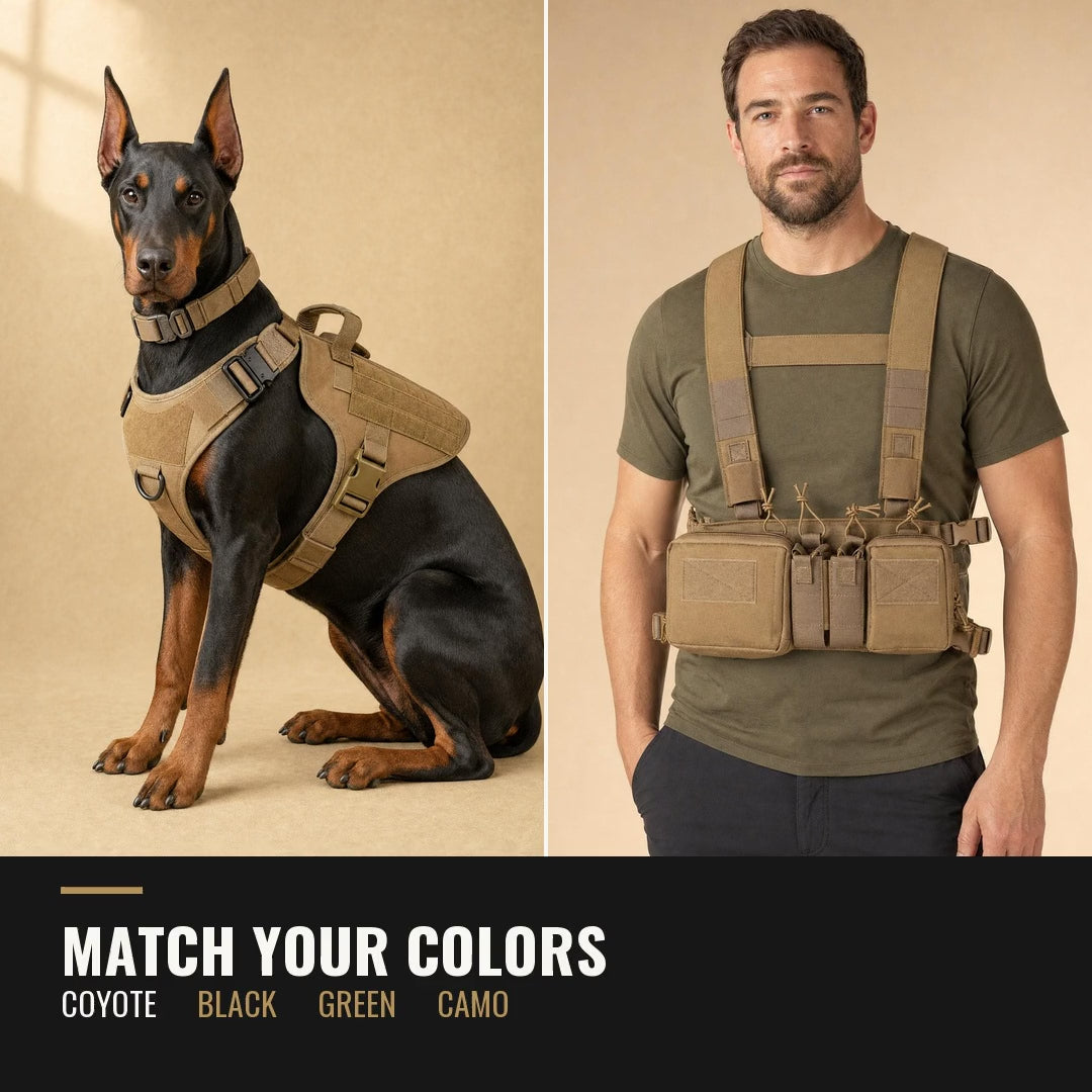 unitof2 match loop home