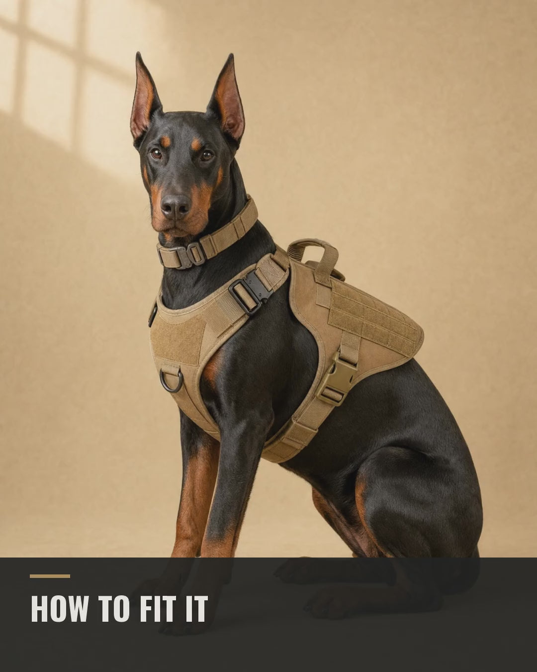 unitof2 fit tour dobie v2