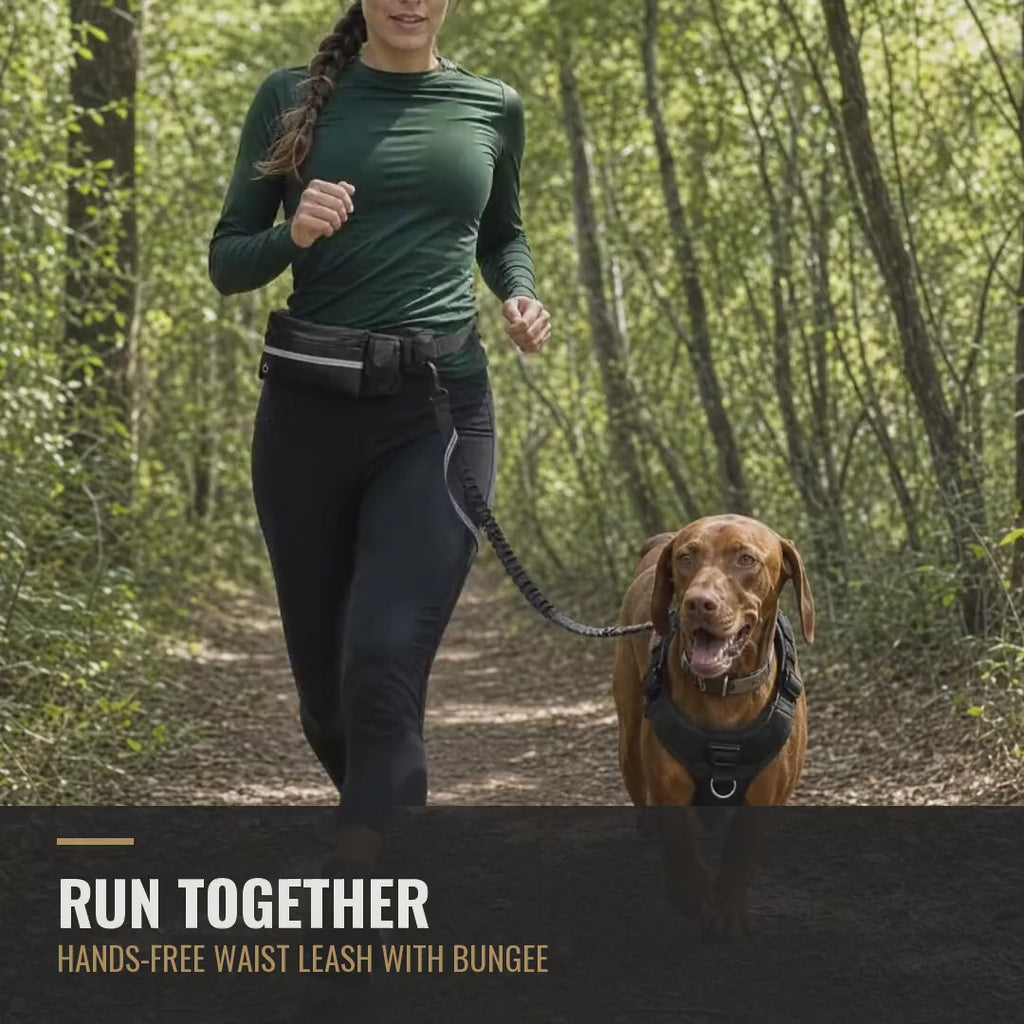 Woman running with a Vizsla on the hands-free waist leash