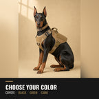 Choose your color: the harness kit on a Doberman in Coyote, Black, Green and Camo