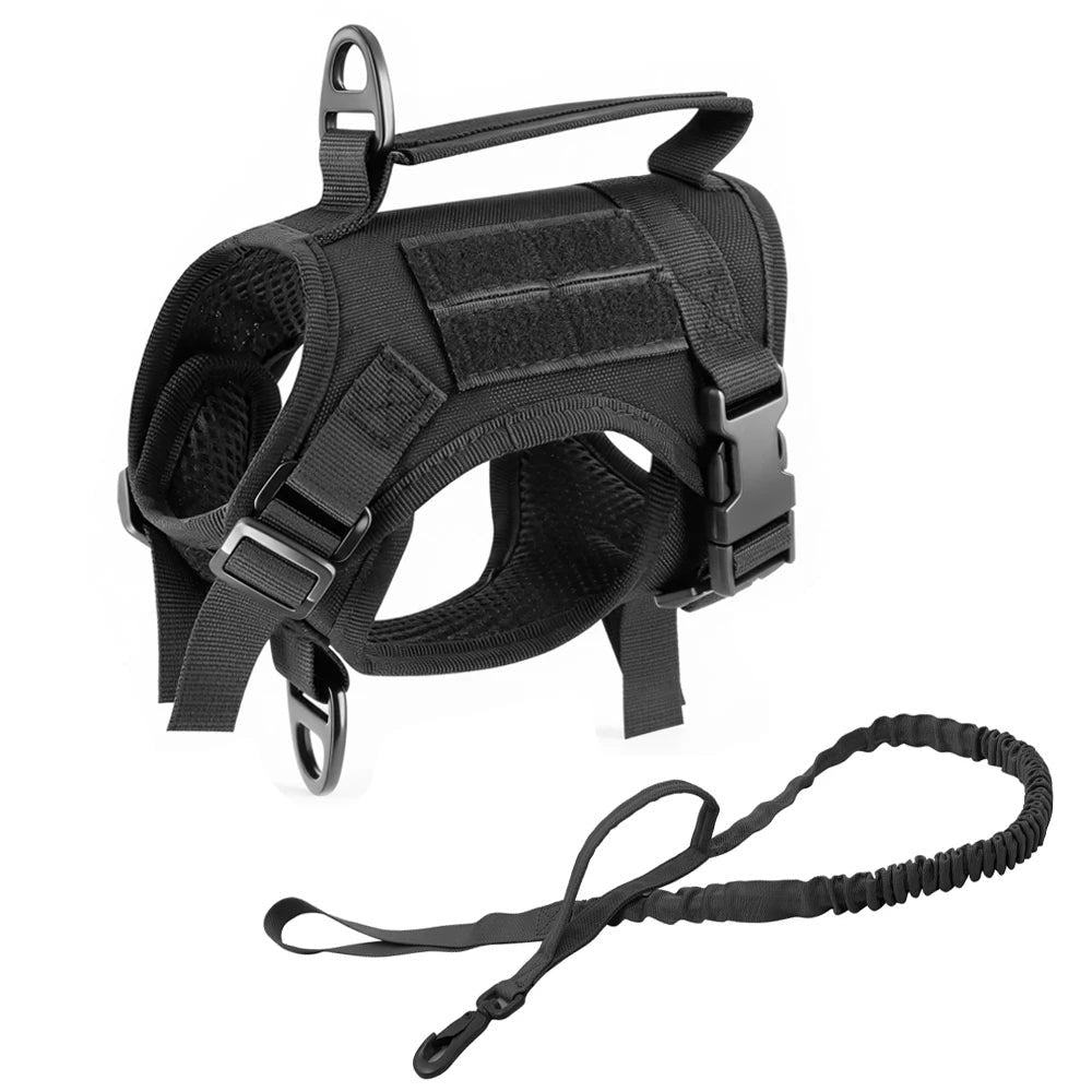 Tactical small dog harness in Black: harness and matching bungee leash (2pcs set)